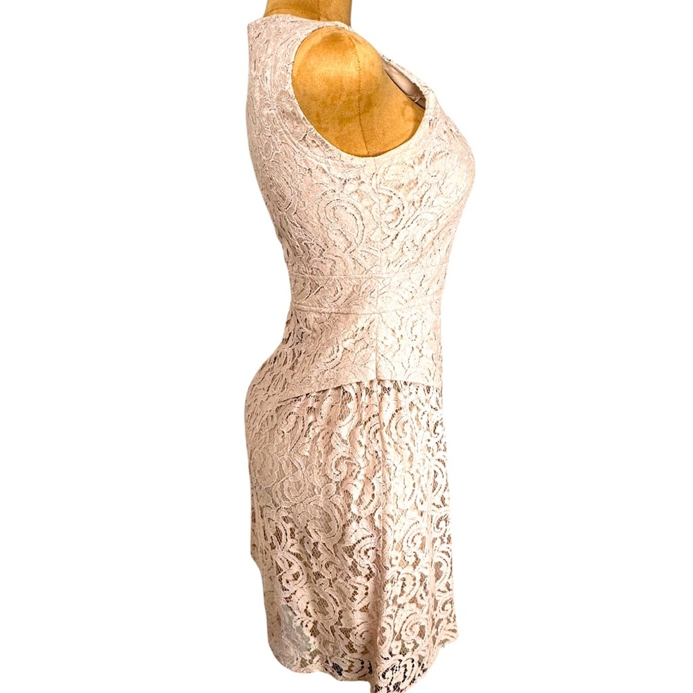 Adrianna Papell Lace Cocktail Dress Blush Beige Romantic Coquette Sleeveless 6 - Picture 11 of 16